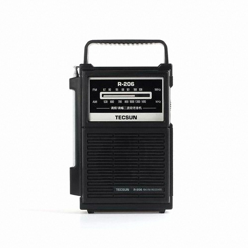 TECSUN R-206 (해외구매)