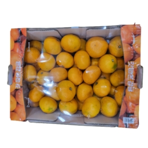 트레이더스 제주 감귤 5kg (1개)_이미지