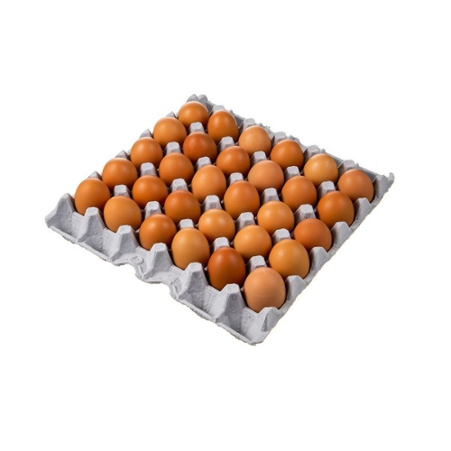 청계원 곰곰 무항생제 신선한 대란 30구 (1개)