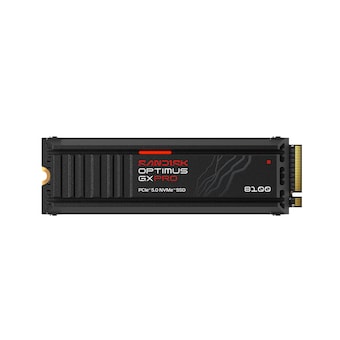 Sandisk Optimus GX PRO 8100 히트싱크 M.2 NVMe
