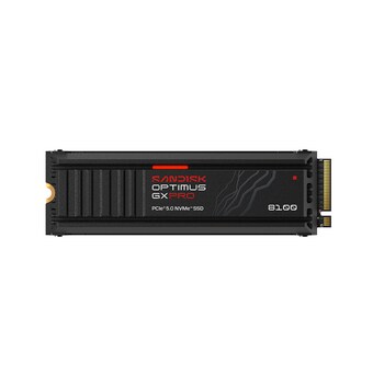Sandisk Optimus GX PRO 8100 히트싱크 <b>M.2</b> NVMe