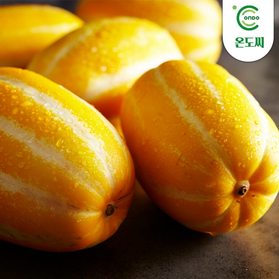 온도씨 성주 참외 27~40개(과) 로얄과 실속형 10kg (1개)