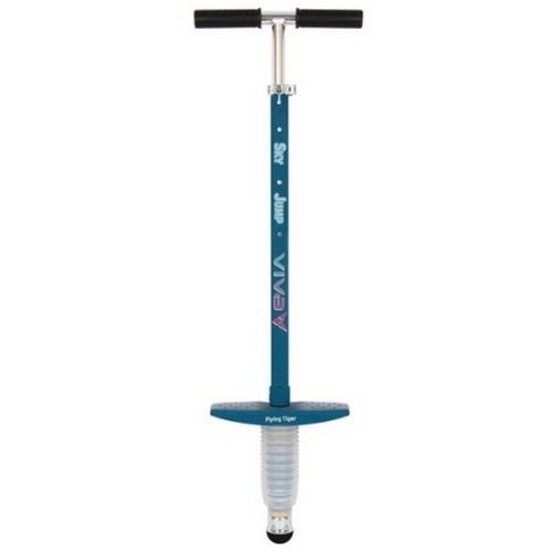 비바스포츠 비바 스카이점프 스카이콩콩