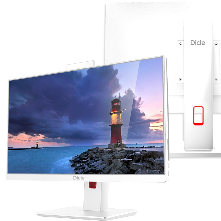 디클 A24-310 FD (8GB, M.2 256GB)_이미지