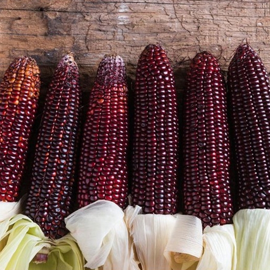 미소진 흑 찰옥수수 특품 10개입 (1개)