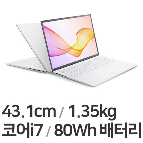 LG전자 2021 그램17 17Z90P-OA76K (SSD 512GB)