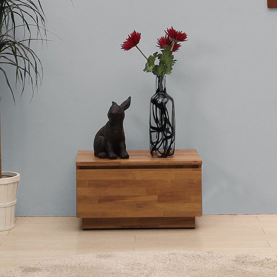 10SPACE 멀바우 패턴 1단 서랍장 (60cm)
