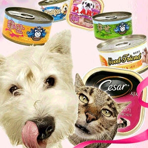 퍼피프렌드 강아지캔 24개/ /아리아스/미라클/올레/찜닭_이미지