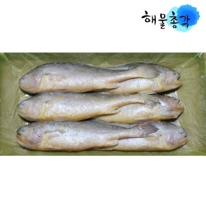 해물총각 부세조기 1박스 조기 굴비 제수용 생선구이 6미 특대_이미지