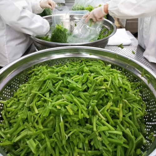 자연담은 궁채나물 1kg 손질 줄기상추 씨푸드코리아_이미지