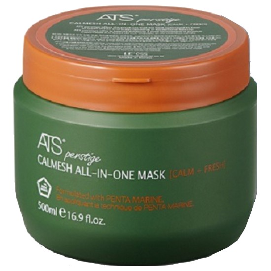 퍼스티지 카미시 올인원 마스크 500ml