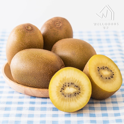 웰굿 하동직송 고당도 골드키위 10kg 75과내외왕특과_이미지