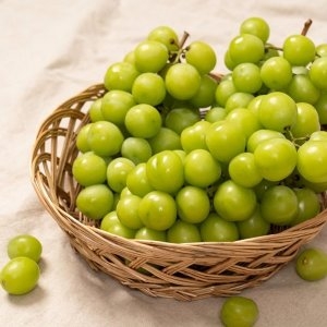 과일꾼 에어셀 안전포장 고당도 샤인머스켓 특등급 프리미엄 1.6kg 2수_이미지