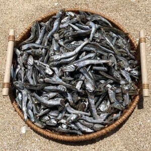 바다어보 통영 다시<b>멸치</b> 1.5kg 특품 남해<b>멸치</b> 국물<b>멸치</b> 대멸치