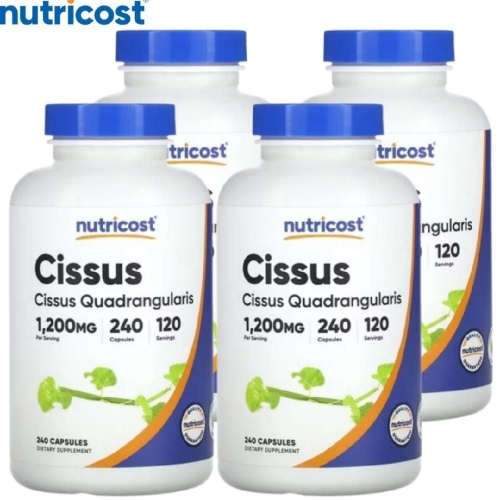 뉴트리코스트 시서스 240캡슐 (4개)
