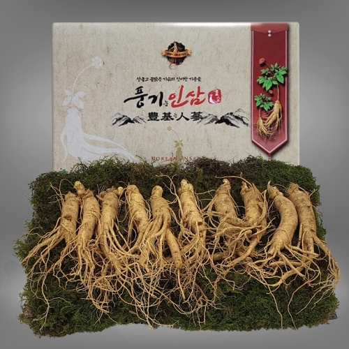 대경인삼사 풍기인삼 5년근 수삼 8-10뿌리 750g (1개)_이미지