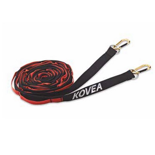 데이지 체인 500