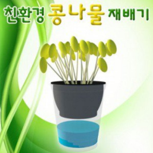 친환경 콩나물 재배기 1인용