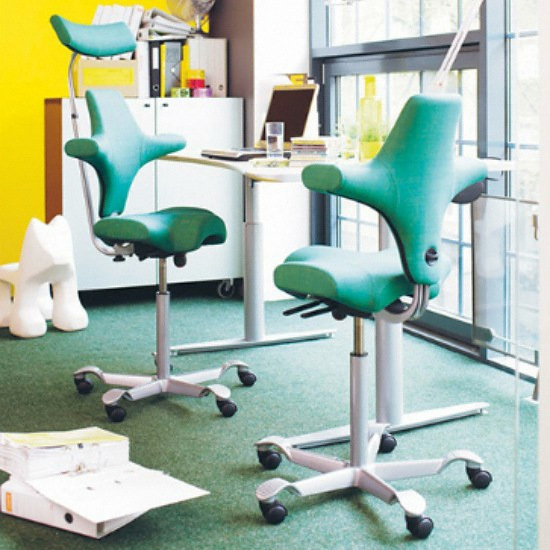 플로크 하그 카피스코 의자 8107 (천연가죽좌판)_이미지