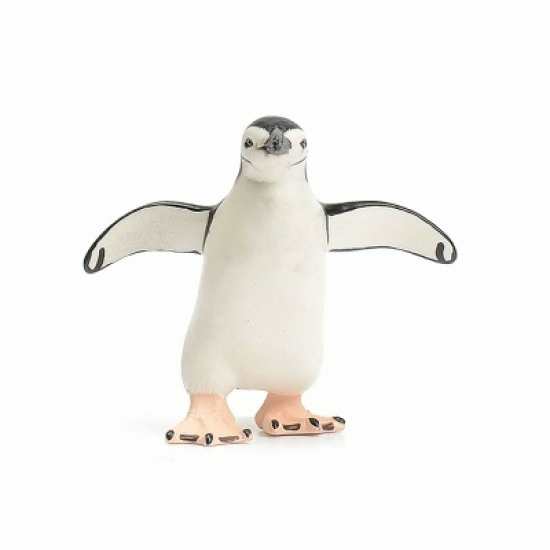  턱끈펭귄 220429