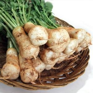 산정마을 알타리 총각무 1단 3kg (1개)_이미지