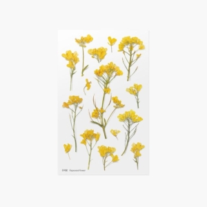 압화 스티커 유채꽃 데코 꾸미기 꽃 다꾸
