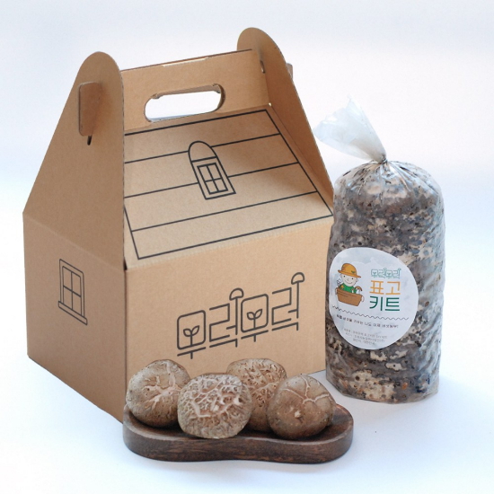 도토리농업회사법인 무럭무럭 표고키트 DIY 세트 (1개)