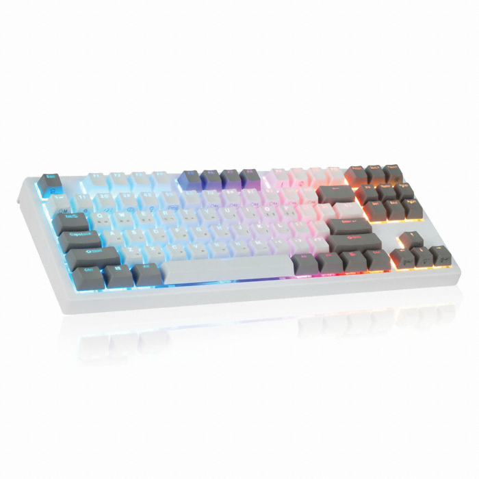 COX ������ ��Ű���� RGB PBT ������� ������ ȭ��Ʈ