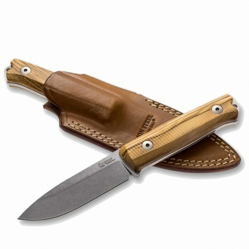 ���̿½�ƿ B40 �ø��� ������