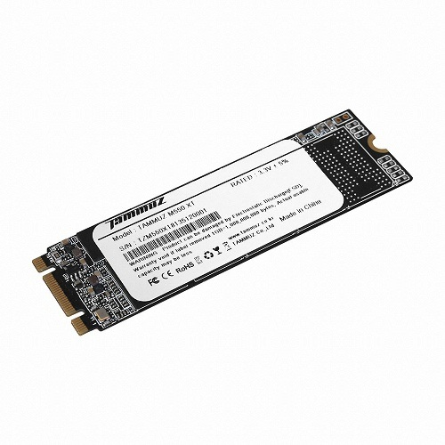 타무즈 M550 XT M.2 SATA (1TB)