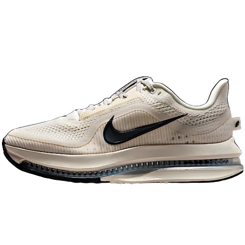 나이키 페가수스 프리미엄 HQ2593-106 (병행)_이미지