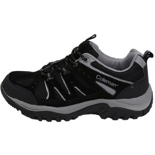 콜맨 프리즘_이미지