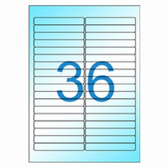 올바른라벨 투명방수 라벨 AL036CP (100매)