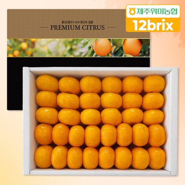 싱귤생귤 당도선별 12brix 프리미엄 하우스감귤 5kg (1개)_이미지