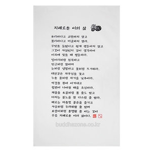 지혜로운이의삶 다포 백색_이미지