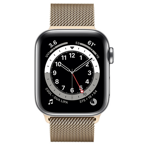 APPLE 워치 시리즈6 44mm Cellular 실버 스테인리스 스틸 (밀레니즈루프)