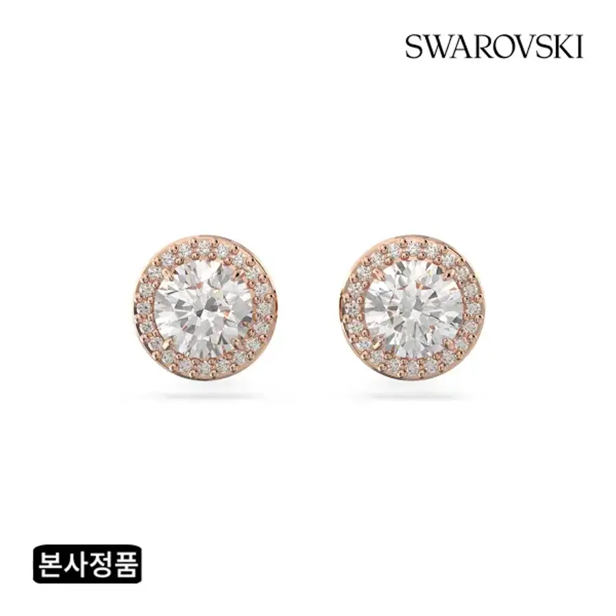 스와로브스키 여성 Constella 로즈골드 파베 스터드 귀걸이 5636275