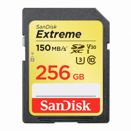 Sandisk SD Extreme 2019 (256GB)