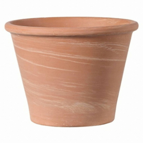 바숨 듀오 25cm