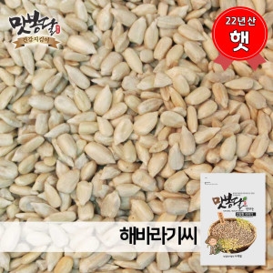 해바라기씨 불가리아산 5kg 23년산