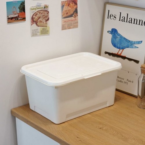 탑백 리빙박스 24L