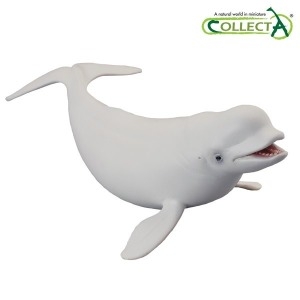 컬렉타 흰고래 (벨루가 88568)