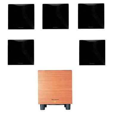 와피데일 DFS DFS-18 Series II 5.1채널