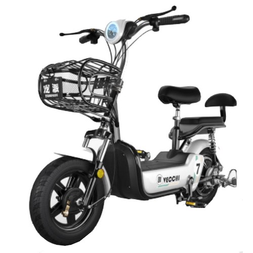 Chongpai 2인용 전기자전거 해외구매