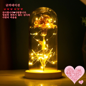 골드 금 카네이션 어버이날 선물 꽃 무드등 부모님선물 금카네이션 엄마선물 추천_이미지