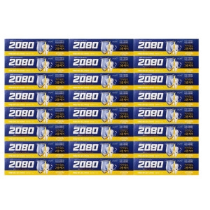 애경 2080 파워쉴드 골드스피아민트 치약 140g (24개)