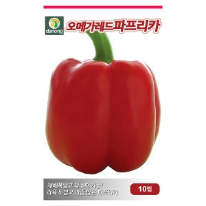 레드 파프리카 씨앗 파프리카 씨 종자 10립