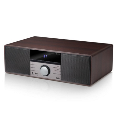 Britz �긮�����ͳ��ų� BZ-TS20BT