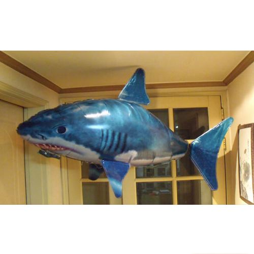 [불명] 에어 스워머 상어