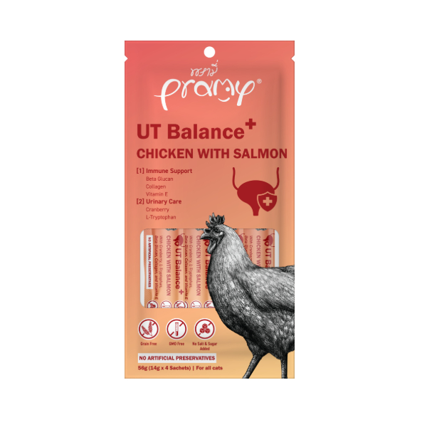 프라미 스무디 치킨연어맛 56g (14g x 4p) (1개)